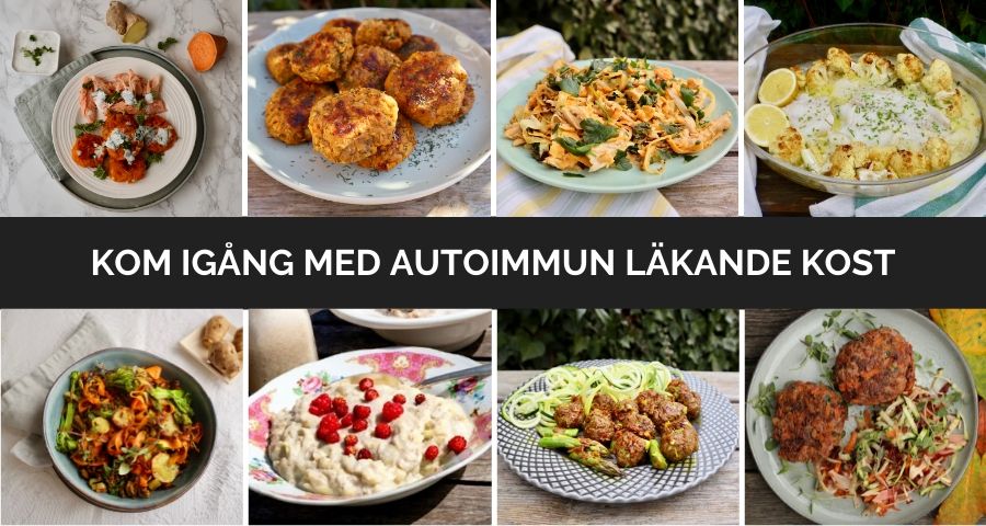 Swedish Paleo Ät Dig Frisk Med Antiinflammatorisk Och Autoimmun Kost